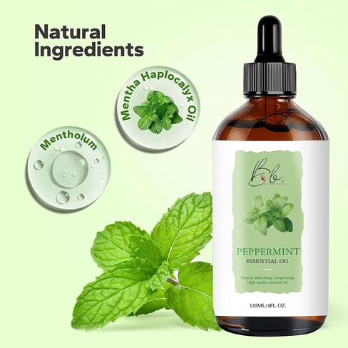 Peppermint Essential Oil Blend (120ml) – Peppermint, Mentha Haplocalyx & Rosehip Oil – Aromatherapy Oil for Diffuser, Massage, Spa, Hair & Skin – Refreshing Scented Oil with Dropper in Saudi Arabia