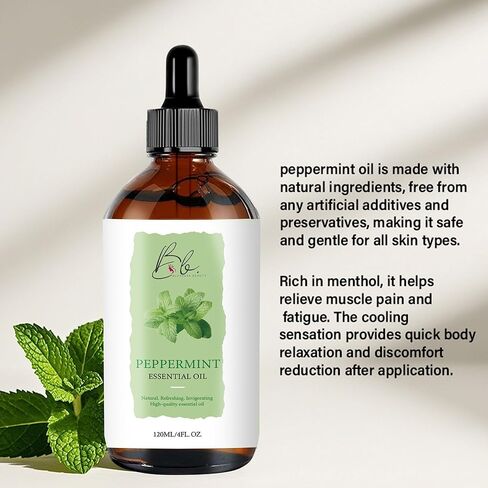 Peppermint Essential Oil Blend (120ml) – Peppermint, Mentha Haplocalyx & Rosehip Oil – Aromatherapy Oil for Diffuser, Massage, Spa, Hair & Skin – Refreshing Scented Oil with Dropper in Saudi Arabia