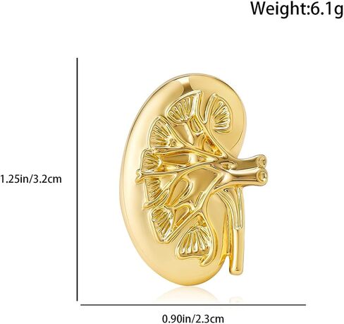 Dr's gift Kidney Anatomy Enamel Brooch Pin Gold Renal Lapel Badge Endocrinology Urology Jewelry for Doctors Nurses Medical Students in Saudi Arabia