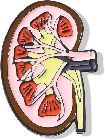 Dr's gift Kidney Anatomy Enamel Brooch Pin Gold Renal Lapel Badge Endocrinology Urology Jewelry for Doctors Nurses Medical Students in Saudi Arabia