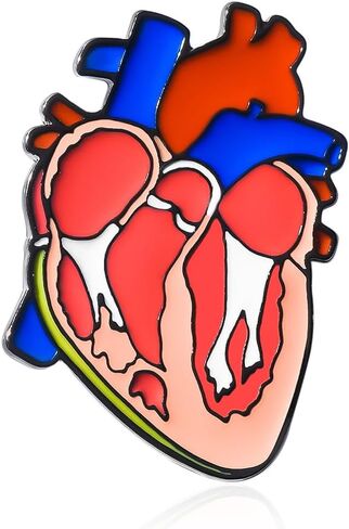 Dr's gift Kidney Anatomy Enamel Brooch Pin Gold Renal Lapel Badge Endocrinology Urology Jewelry for Doctors Nurses Medical Students in Saudi Arabia