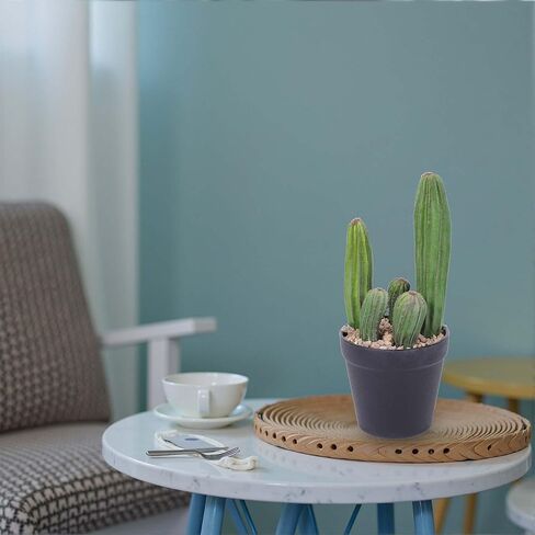 Artificial Cactus 11inch Faux Cactus Fake Cactus Potted Plants for Indoor Outdoor Home Offices Store Decor in Saudi Arabia
