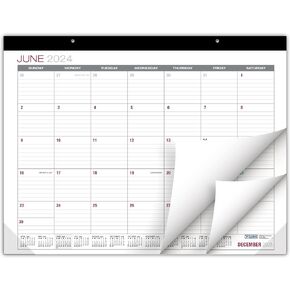 Global Printed Products Professional Desk Calendar 2025: Monthly Pages - 22"x17" - Runs Through December 2025 (Black)