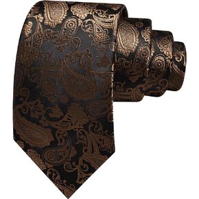 GUSLESON 3.15"(8cm) Fashion Paisley Ties Mens Woven Jacquard Necktie for Wedding