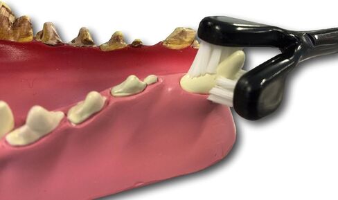 Petosan Double-Headed Toothbrush, Dental Cleaning Accessory for Small Dogs in Saudi Arabia