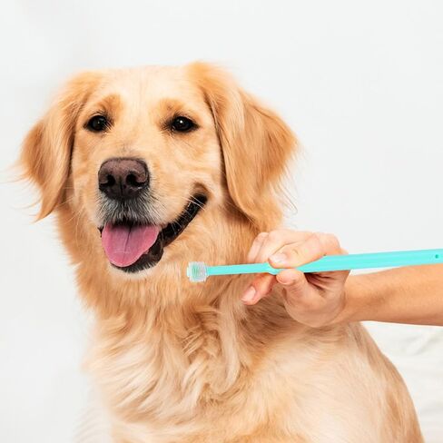 2 Pack Puppy Tooth Brushing Kit, 360 Degree Silicone Dog / Cat Toothbrush Pet Dental Care Dog Oral Hygiene Deep Clean Pet Teeth Cleaning Tool Soft Bristles Friendly to Gums, Easy to Handle - Small in Saudi Arabia