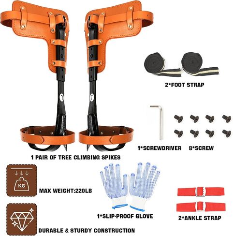 FZHBLTY Tree Climbing Gear, Tree Climbing Spikes is Used for Fruit Picking, Hunting Observation, Climbing and Outdoor Sports. in Saudi Arabia