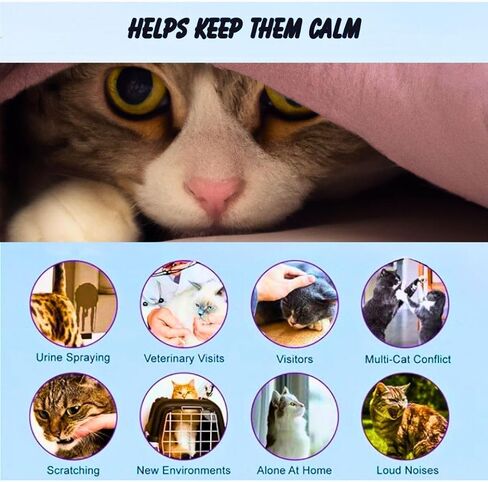 Advanced Pheromone Cat Calming Diffuser - Plug-in & Refill Combo ( 30 Day Starter Kit) for Serene Homes. Minimize Stress, Scratching, anxiety, and Spraying - Ideal for Single & Multi-cat homes. in Saudi Arabia
