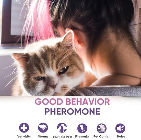 Advanced Pheromone Cat Calming Diffuser - Plug-in & Refill Combo ( 30 Day Starter Kit) for Serene Homes. Minimize Stress, Scratching, anxiety, and Spraying - Ideal for Single & Multi-cat homes. in Saudi Arabia