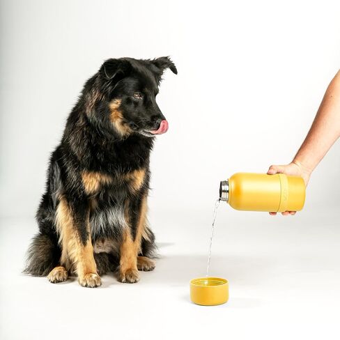 Ubbi Pup & Me Stainless Steel Insulated Portable 32 oz. Bottle for Dogs and Owners with Attached Dog Bowl, Blue in Saudi Arabia