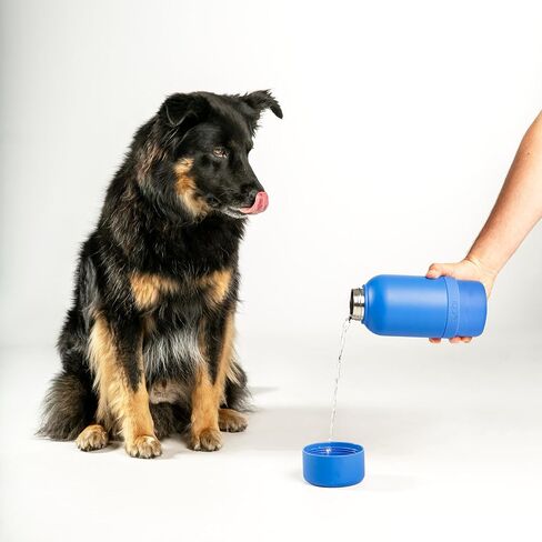 Ubbi Pup & Me Stainless Steel Insulated Portable 32 oz. Bottle for Dogs and Owners with Attached Dog Bowl, Blue in Saudi Arabia