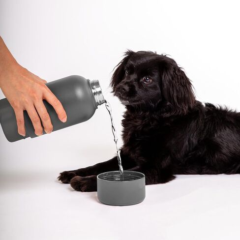 Ubbi Pup & Me من الفولاذ المقاوم للصدأ معزول وقابل للحمل 32 أونصة. زجاجة للكلاب وأصحابها مع وعاء مرفق للكلاب، باللون الأزرق in Kuwait