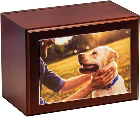 Companion Photo Urn with Acrylic Magnetic Picture Frame for Human and Pet Ashes, Cremation and Aquamation Urn for Adults, Infants, and Pets, Memorial Keepsake Urn (Walnut, Small) in Saudi Arabia