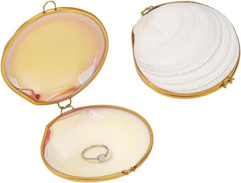 MAYJOYDIY 2Pcs White Shell Shape Jewelry Trinket Box, Display Natural Seashell Figurine Collectible Ring Jewelry Holder Earring Trinkets Decorative Box Organizer for Rings Earrings Necklace Treasur in Saudi Arabia