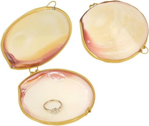 MAYJOYDIY 2Pcs White Shell Shape Jewelry Trinket Box, Display Natural Seashell Figurine Collectible Ring Jewelry Holder Earring Trinkets Decorative Box Organizer for Rings Earrings Necklace Treasur in Saudi Arabia