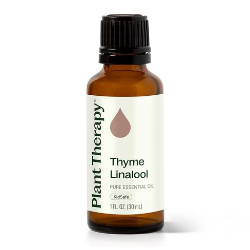 Plant Therapy Thyme Linalool Essential Oil 30 mL (1 oz) 100% Pure Thyme Essential Oil, Undiluted, Immune Support in Saudi Arabia