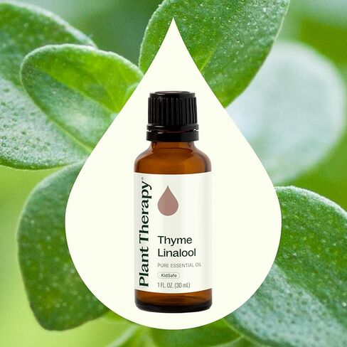Plant Therapy Thyme Linalool Essential Oil 30 mL (1 oz) 100% Pure Thyme Essential Oil, Undiluted, Immune Support in Saudi Arabia