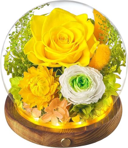 Eterfield Preserved Flowers in Glass Dome with LED Light, Mother's Day Roses Gifts for Mom, Long-Lasting Forever Globe Flowers for Women, Wife, Grandma, Sister, Birthday, Anniversary, Purple in Saudi Arabia
