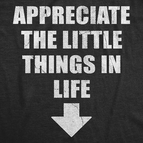 Mens Funny T Shirts Appreciate The Little Things in Life Sarcastic Dick Joke Novelty Tee for Men in Saudi Arabia