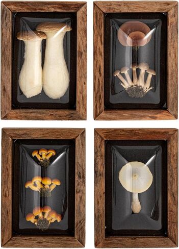 Creative Co-Op 4-Piece Wood Framed Shadow Box Wall Décor, Multicolor in Saudi Arabia