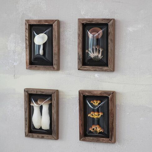 Creative Co-Op 4-Piece Wood Framed Shadow Box Wall Décor, Multicolor in Saudi Arabia