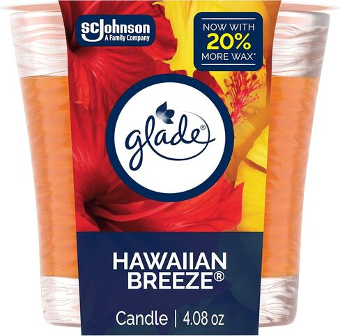 Glade 1-Wick Scented Candle Jar, Apple Cinnamon, Air Freshener Infused with Essential Oils, 4.08 Oz in Saudi Arabia