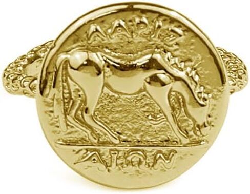 Hip Hop Horse Coin Statement Open Ring for Women Vintage Circle Geometry Animal Adjustable Finger Ring Stackable Thin Handmade Hammered Band Rings Promise Engagement Friendship Fashion Jewelry Gifts in Saudi Arabia