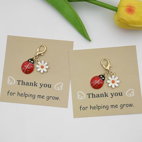 2 Pcs Ladybug Keychains, Fun & Stylish Bag Charms with Paper Cards — Animal & Floral Theme, Perfect for Gratitude Gifting in Saudi Arabia