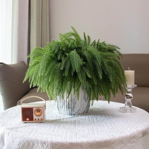 SENCID 12 Pcs Christmas Norfolk Pine Branches - 18" Artificial Norfolk Branch Faux Stem Greenery Pine Picks for Vase DIY Crafts Christmas Garland Wreath Making Home Decor in Saudi Arabia