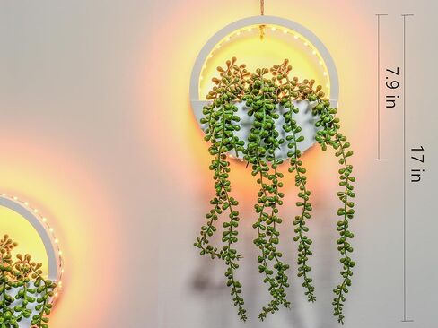 comtelek 2pcs النباتات المعلقة الاصطناعية مع أضواء النباتات العصارية وهمية في وعاء بوهو جدار ديكور وهمية سلسلة من اللؤلؤ مع الحبل للحمام غرفة المعيشة سقف شرفة المنزل (أبيض) in Kuwait