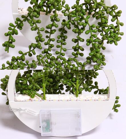 comtelek 2pcs النباتات المعلقة الاصطناعية مع أضواء النباتات العصارية وهمية في وعاء بوهو جدار ديكور وهمية سلسلة من اللؤلؤ مع الحبل للحمام غرفة المعيشة سقف شرفة المنزل (أبيض) in Kuwait