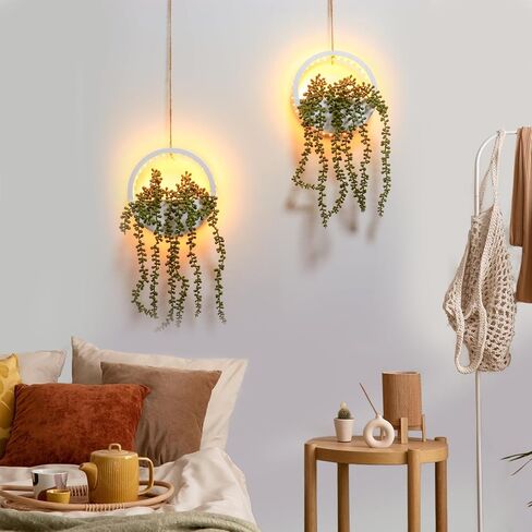 comtelek 2pcs النباتات المعلقة الاصطناعية مع أضواء النباتات العصارية وهمية في وعاء بوهو جدار ديكور وهمية سلسلة من اللؤلؤ مع الحبل للحمام غرفة المعيشة سقف شرفة المنزل (أبيض) in Kuwait