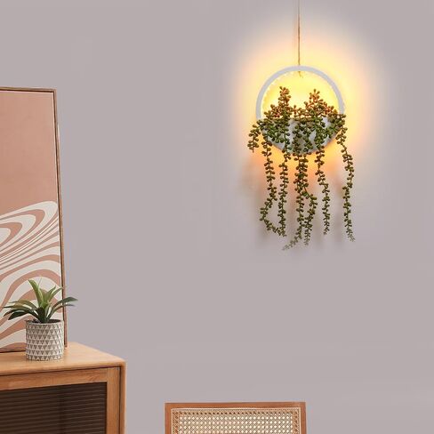 comtelek 2pcs النباتات المعلقة الاصطناعية مع أضواء النباتات العصارية وهمية في وعاء بوهو جدار ديكور وهمية سلسلة من اللؤلؤ مع الحبل للحمام غرفة المعيشة سقف شرفة المنزل (أبيض) in Kuwait