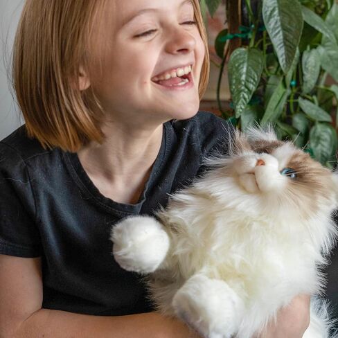 Chongker Weighted Stuffed Animals, 3lb 22" Realistic Plush Cat, Cuddling Soft Pillows for Children, Adults and The Elderly, Alleviate Stress Ragdoll Cat in Saudi Arabia