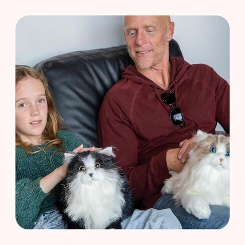 Chongker Weighted Stuffed Animals, 3lb 22" Realistic Plush Cat, Cuddling Soft Pillows for Children, Adults and The Elderly, Alleviate Stress Ragdoll Cat in Saudi Arabia