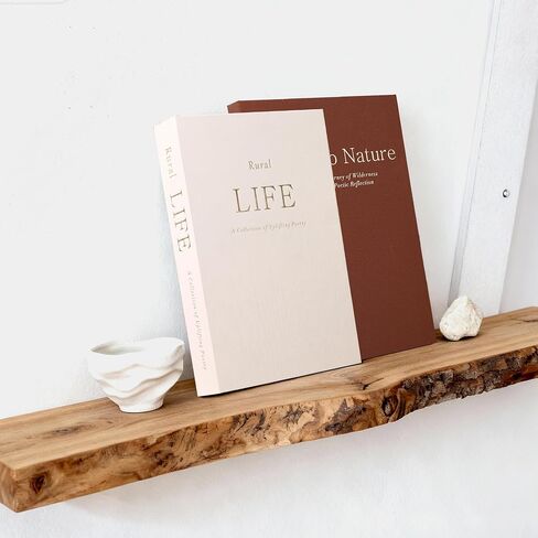 مجموعة كتب Lengba Linen المزخرفة مكونة من 2 - صندوق تخزين الكتب الصناعية مع مساحة تخزين مخفية لديكور المنزل، وطاولة القهوة، ورف الكتب (القهوة والبيج) in Kuwait