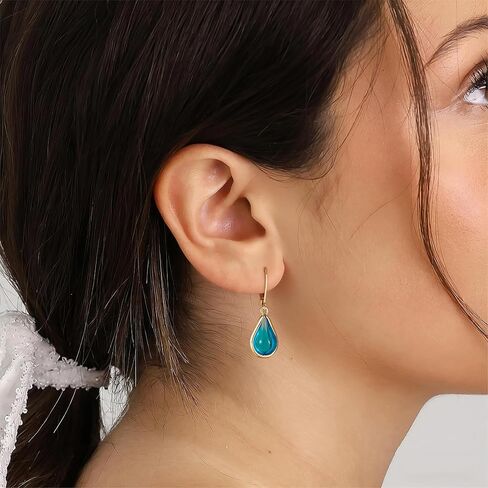 Ritach Small Dangle Earrings for Women Trendy 14K Gold Plated Hypoallergenic Leverback Drop Earrings for Jewelry Gifts in Kuwait
