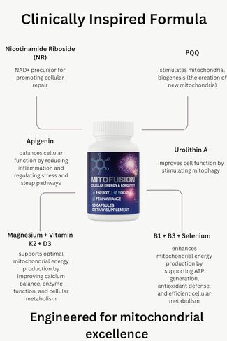 MitoFusion تركيبة كاملة لمكافحة الشيخوخة NAD+ ودعم الميتوكوندريا مع 500 ملغ من نيكوتينوميد ريبوسيد، 250 ملغ من يوروليثين A، 25 ملغ من PQQ، 50 ملغ من أبيجينين. الطاقة | التركيز | طول العمر | الأداء | استعادة in Saudi Arabia