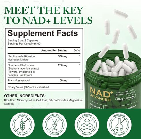 APU.FAIRY NAD Supplement,NAD Nicotinamide Riboside,Extra Strength NAD Alternative Liposomal,Boost NAD & Resveratrol + for Women & Men,Energy Anti-Aging,Cell Regeneration,120 Capsulesbottl-120 in Saudi Arabia