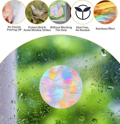 111Pcs Round Window Decals for Bird Strikes, Prism Window Cling Non-Adhesive Reusable Anti Collision Decals, Rainbow Vinyl Clings to Prevent Bird Collisions (2 Inch) in Saudi Arabia