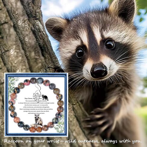 LIUANAN الراكون سحر سوار للنساء بيكاسو جاسبر روح الحيوان المجوهرات القدرة على التكيف حماية الإبداع هدية لأمها الجدة ابنة ابنة أخت عيد ميلاد in Kuwait