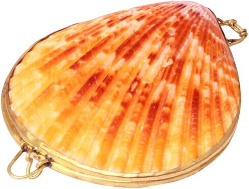 صندوق مجوهرات Sewroro Seashell، حامل مجوهرات صغير، منظم حلية صدف طبيعي للاستخدام المنزلي وتخزين السفر in Kuwait