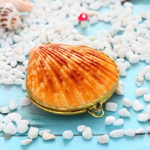 صندوق مجوهرات Sewroro Seashell، حامل مجوهرات صغير، منظم حلية صدف طبيعي للاستخدام المنزلي وتخزين السفر in Kuwait