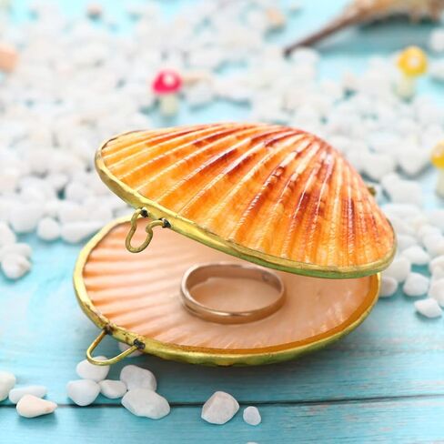 صندوق مجوهرات Sewroro Seashell، حامل مجوهرات صغير، منظم حلية صدف طبيعي للاستخدام المنزلي وتخزين السفر in Kuwait