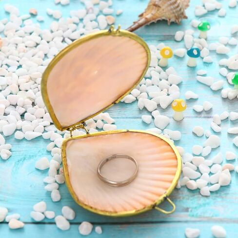 صندوق مجوهرات Sewroro Seashell، حامل مجوهرات صغير، منظم حلية صدف طبيعي للاستخدام المنزلي وتخزين السفر in Kuwait