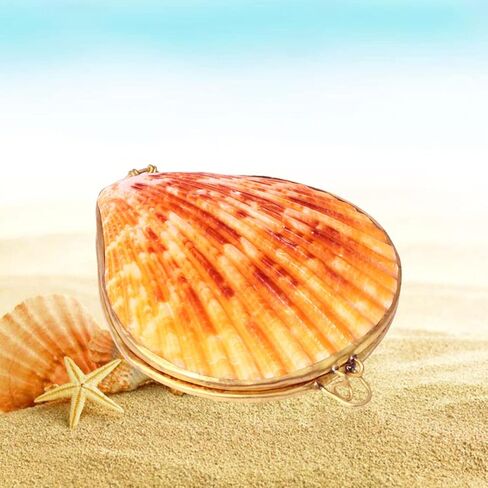 صندوق مجوهرات Sewroro Seashell، حامل مجوهرات صغير، منظم حلية صدف طبيعي للاستخدام المنزلي وتخزين السفر in Kuwait