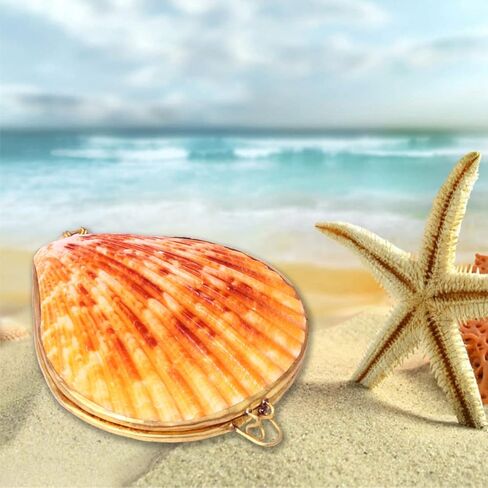 صندوق مجوهرات Sewroro Seashell، حامل مجوهرات صغير، منظم حلية صدف طبيعي للاستخدام المنزلي وتخزين السفر in Kuwait