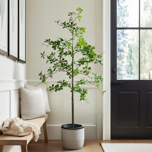 شجرة زيتون سوداء صناعية من إريمدا بطول 7 أقدام، نباتات صناعية داخلية كبيرة شجرة طويلة مظللة صناعية مع جذع خشبي طبيعي وأوراق واقعية، نبات زيتون مزيف للديكور المنزلي والمكتب الداخلي in Kuwait