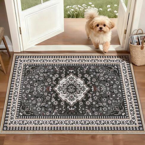 2' x 3' Red Washable Area Rugs, Non-Slip Entryway Rug, Boho Low Pile Door Mat Indoor Entrance, Floral Medallion Pattern Vintage Rugs for Kitchen Bedroom Bathroom Laundry Living Room Farmhouse in Kuwait