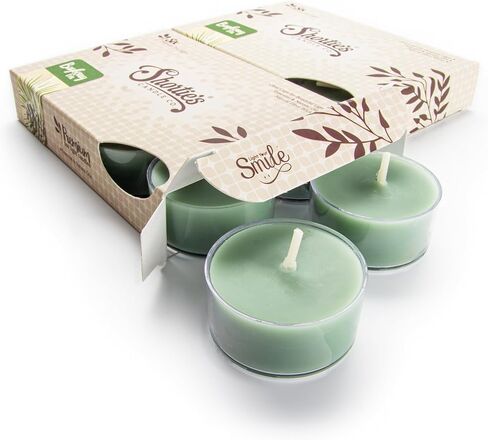 Bayberry Fir Premium Tealight Candles Multi Pack - Highly Scented with Essential Oils - 12 Green Tea Lights - Beautiful Candlelight - Made in The USA - Christmas & Holiday Collection in Saudi Arabia